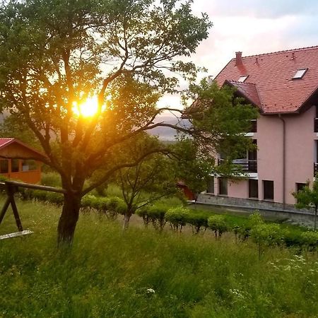 Hotel Sofia Bran  Luaran gambar