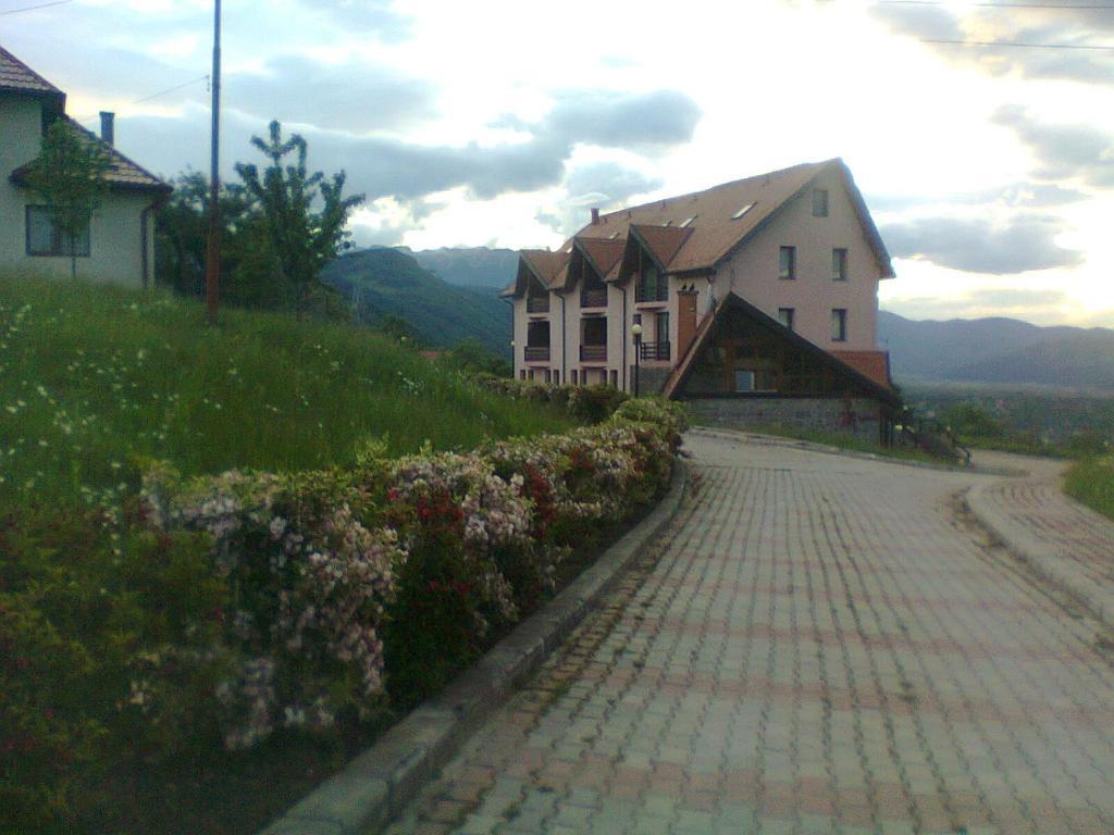 Hotel Sofia Bran  Bilik gambar
